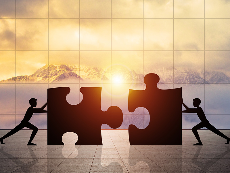 招标与投标代理